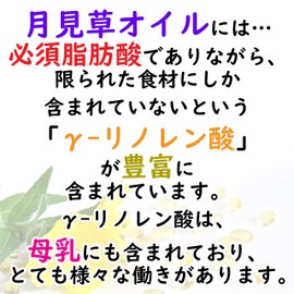 Primrose oil containing linolenic acid (30 tablets x 1 bag)