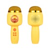 Wireless BT Microphone Portable Handheld Mic Variable Sound Function Built-in