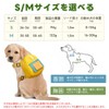 Dog Backpack, Harness, Lead, Set, Pet Backpack, Cartoon, Dogs, Cats,
