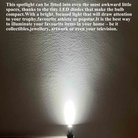 Taysing LED Spot Light Indoor Picture Lights Art Lights Accent Lights Little Spotlight Up Lights for Painting Picture Plants Jewelry Showcase Model Display Shelves Under Cabinet (Cold White-2 Pack)