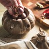 Garlic Storage Pod Ceramic Garlic Keeper with Lid Large Garlic