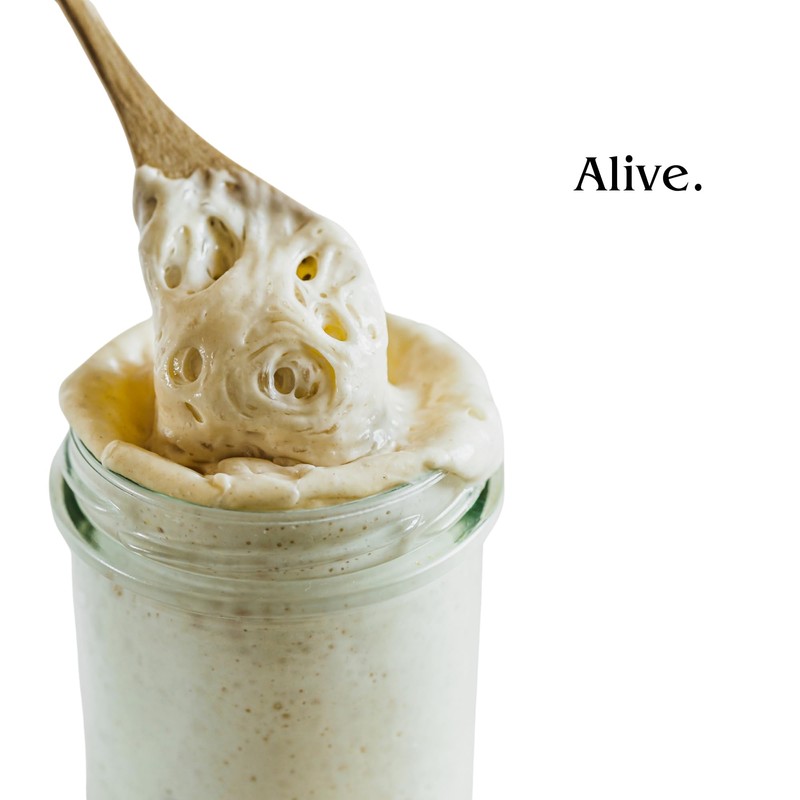 Apron Maven Premium Sourdough Starter Culture - San Francisco Style
