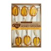 Melville Candy Company Honey Clover Spoons Gift Sets, 2.4 Ounce