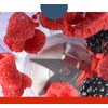 Aspas de 6 Cuchillas para Licuadora con Empaque para Oster.