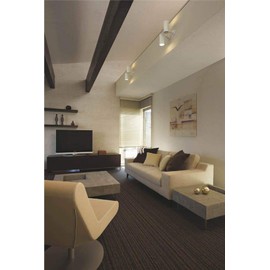 Koizumi Lighting AS43971L Spotlight 30° (JDR100W Equivalent), Fine White