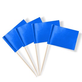 Mflagperft Blank Toothpick Flags Labeling Marking Flag Small Mini Stick Flags for Cupcake Food Fruit Party Decorations (100 pack) (Blue)
