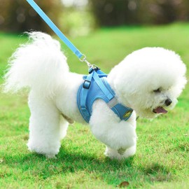 FEimaX Dog Harness and Leash Set, No-Pull Breathable Soft Mesh Puppy Vest Harness Reflective Adjustable Pet Harnesses for Small Medium Dogs and Cats - Outdoor Easy Control for Walking
