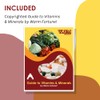 Warm Fortune Warm Fortune Li'il Critters Gummy Vites, 300 Gummy