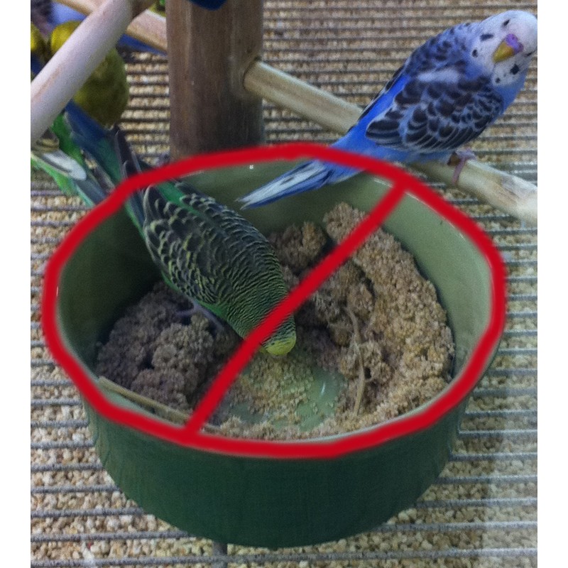 Feathersmart Horizontal Millet Holder