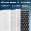 2 Pack F1 Replacement Filter Compatible with AMEIFU F1 Air