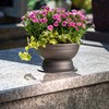 KADAX Flower Bowl with Base, Weatherproof Plastic Plant Bowl, Ball