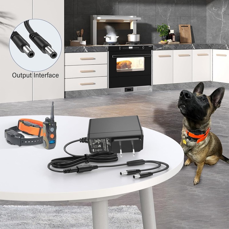 UpBright 10V AC/DC Adapter Compatible with Dogtra Super-X 3502NCP ARC