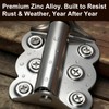 2 Pack Heavy Duty Self-Closing Spring Hinges for Screen Doors,