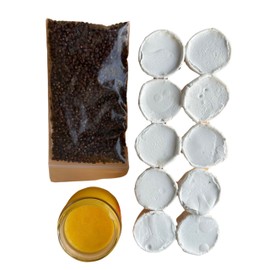 Set Espiritual para Santería Cubana, Ifá, Yoruba, Palo Mayombe y Vudú: 10 Cascarillas, Mezcla de Maíz Tostado, Jutía y Pescado Ahumados (8 oz) y Manteca de Corojo (2 oz)