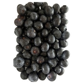Blueberry Organic Fresh and Seasonal Natural Food 1000g 1ea, 1kg / 블루베리 유기농 생과 제철 자연산 식품 1000g 1개, 1kg