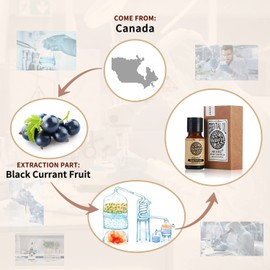 AKARZ AKARZ Black Currant Essential Oil Natural Organic Pure Black Currant Oil for Skin Body Hair Care,Diffuser, Candle,Soap,Making, DIY,Massage Aroma 0.34 Fl Oz (10ml)