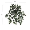 Larksilk Variegated English Ivy - Artificial Ivy for Hanging Basket,