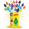 Arbre Magique 105565 Car Air Freshener Box of 24 Assorted