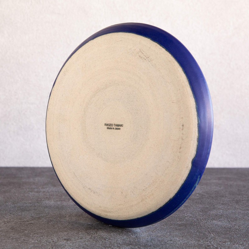 Rikizo R-886533 Plate, Blue, Indigo, Diameter 9.4 inches (24 cm)