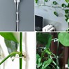 kissral Plant Clips Large Pack of 50 Wall Mounts for