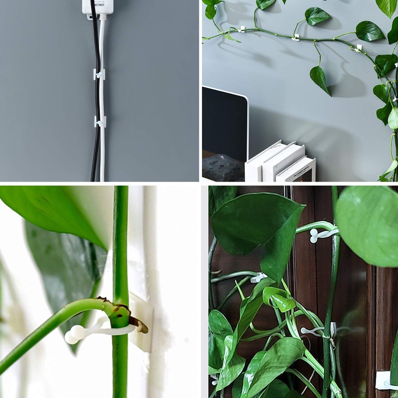 kissral Plant Clips Large Pack of 50 Wall Mounts for