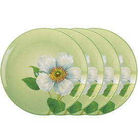 Noritake Colorwave Apple Set of 4 Floral Accent Plates, 8-1/4"