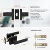 Probrico Entry Door Levers Matte Black with Keys, Heavy Duty