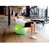 Gymnic Plus 65 Exercise Ball, Purple