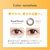 クレオワンデーUVリング30枚1箱 ロイヤルブラウン （1日使い捨て コンタクトレンズ ）【BC】8.5 【PRW】-4.50