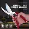 DRAGON RIOT Heavy Duty Poultry Shears - A Must Have