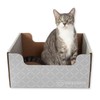 Hide & Scratch Cardboard Cat Scratcher Box & Bed -