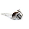 Sterling Silver Nautilus Shell Necklace