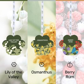 Furry Purr Car Air Freshener Hanging Cute Paw Air Fresheners, Lily Of The Valley/Osmanthus/Berry Rum Pack of 3, Pet-Friendly Air Freshener for Home & Auto, Non-toxic Odor Eliminating Air Freshener