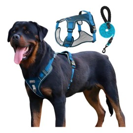 Pechera Arnés Con Correa Para Perro Chico Mediano Y Grande