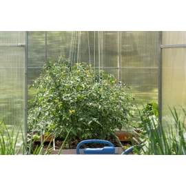 Professional Tomato Hooks Pack of 10 Metal Cucumber Hooks Trellis with 5 m Compostable Cord Each
