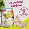 Fancy Pets Arena Aglutinante para Gato con 12.5 Kilogramos