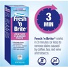 Fresh 'n Brite Denture Cleaning Paste, 3.8 Ounce (Pack of