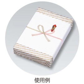 マルアイ のし紙 祝 蝶結び 厚口 B5 100枚 ノイ-N1B5
