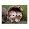 ProdBuy Home Cute Hedgehogs In Log Resin Garden Ornament