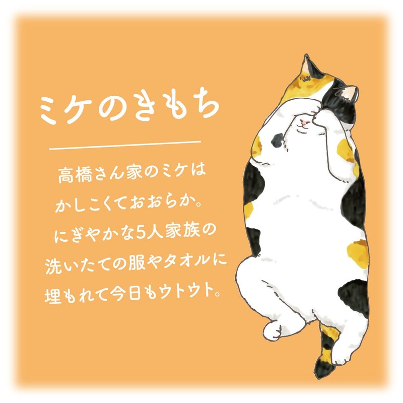 Cat Kimochi Nyan Wari Steam Eye Mask, Mike No Kimochi,