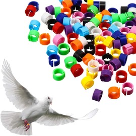 OQKAHIV Pack of 100 8 mm Multicolour Clip-On Bird Leg Rings, No Numbers, Plastic Pigeon Foot Rings for Identification and Opening Detection of Chicks, Pigeons and Parrots - Random Colour
