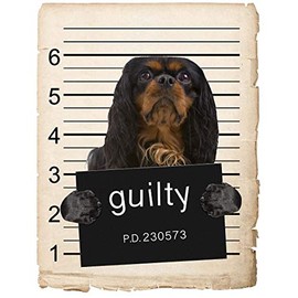 English Toy Spaniel Dog Mugshot Bad Dog Car Bumper Magnet, Magnetic for Refrigerator, Decorative Fridge, Office, Whiteboard, Kitchen, Locker Waterproof Decor, Family & Friends, 4x7 in