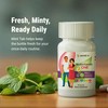 BariatricPal Multivitamin ONE 1 per Day! Bariatric Multivitamin Capsule with