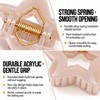 2 Pack Small Hair Claw Clips - 2 Inch Cute