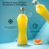 JoyJolt - Juego de 2 botellas de agua de vidrio,
