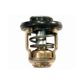 Sierra International 18-3540 Small Thermostat for Yamaha