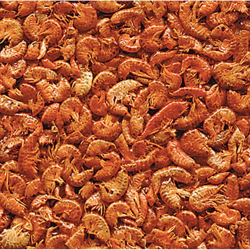 Flamingo Wooden Nesting Box for Budgies – Horizontal # Pot