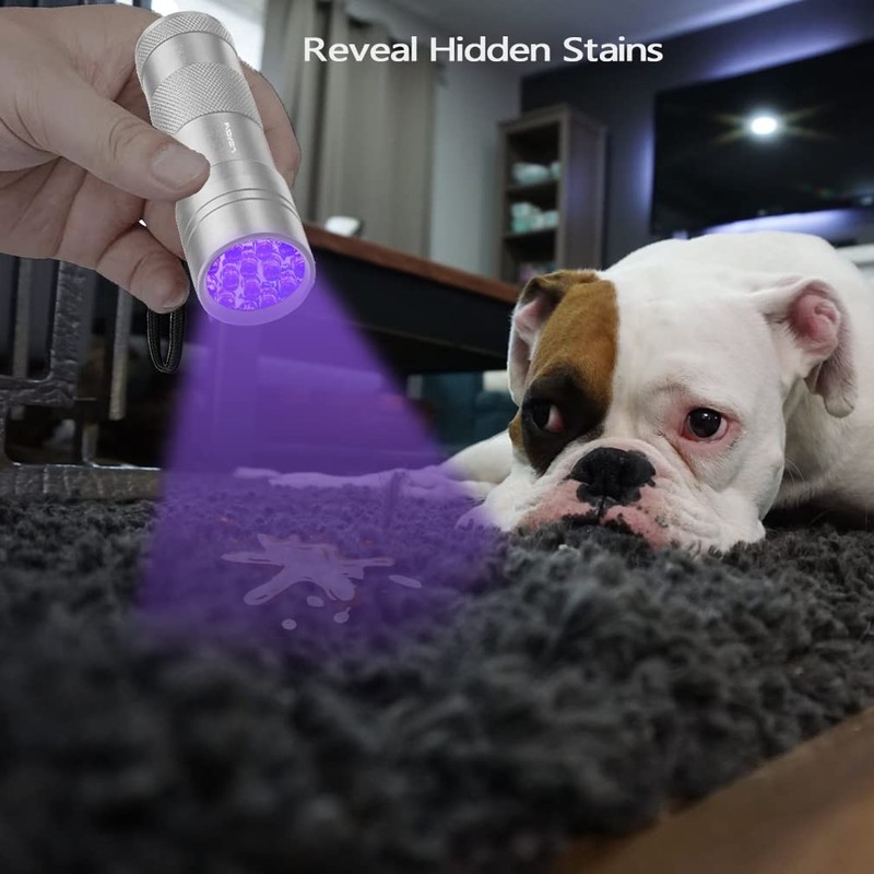 LEAGY 2 Pack 12 LED 395nm Mini UV Flashlights with