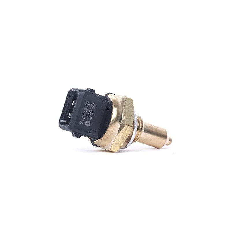 Delphi TS10270 Switch