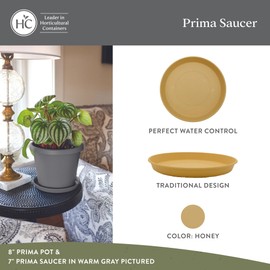 The HC Companies Round Prima Flower Pot Saucers - Plastic Plant Saucer for Outdoors & Indoors - Traditional Plant Pot Trays for Water Drainage -Durable Plant Tray (12-inch Honey, Pack of 2)